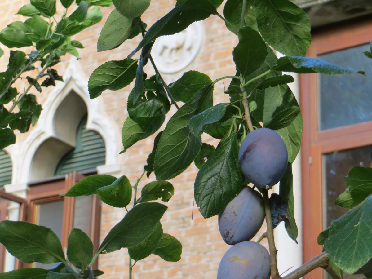 Villa Elisabetta Venedigs Lido Eksteriør billede